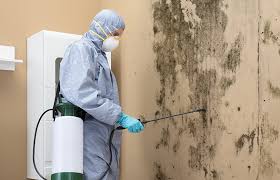 Professional Mold Inspection in Tucker, GA